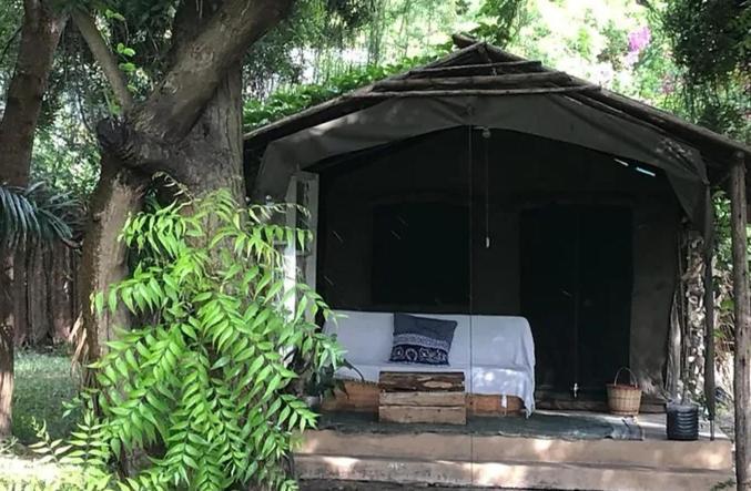 Firefly Boutique Lodge Bagamoyo Eksteriør billede